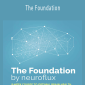 Neuroflux – The Foundation