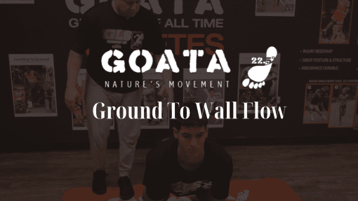GOATA – Ground To Wall Flow1